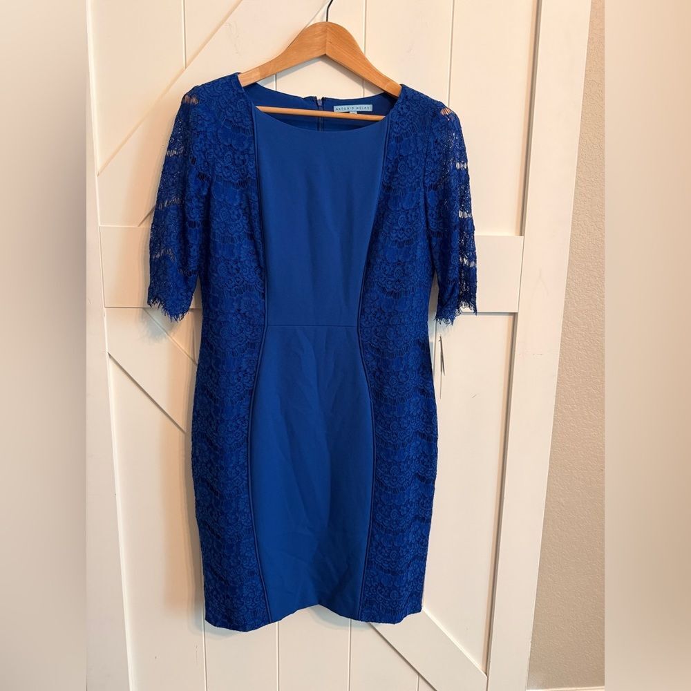New ANTONIO MELANI Royal Blue Lace Midi Dress size 10 Lace - Picture 2 of 9